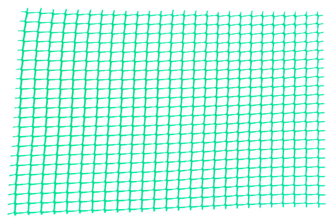 Сетка декоративная Клевер - 1,0 x 20 м (10 x 10 мм) зеленая 1