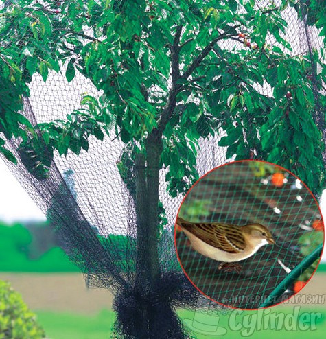 Защитная сетка для деревьев от птиц