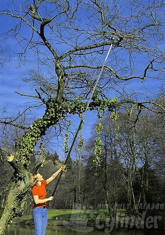 Обрезка деревьев телескопическим сучкорезом